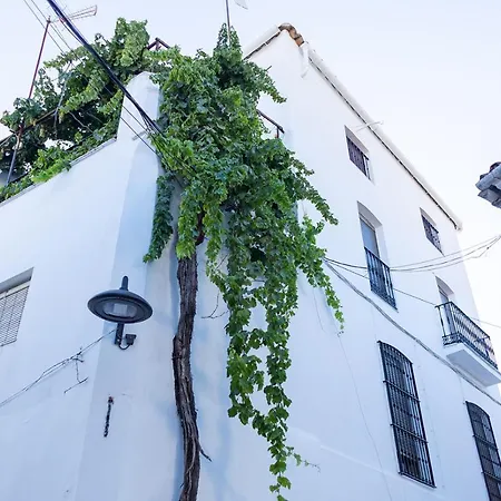 Casa Pina